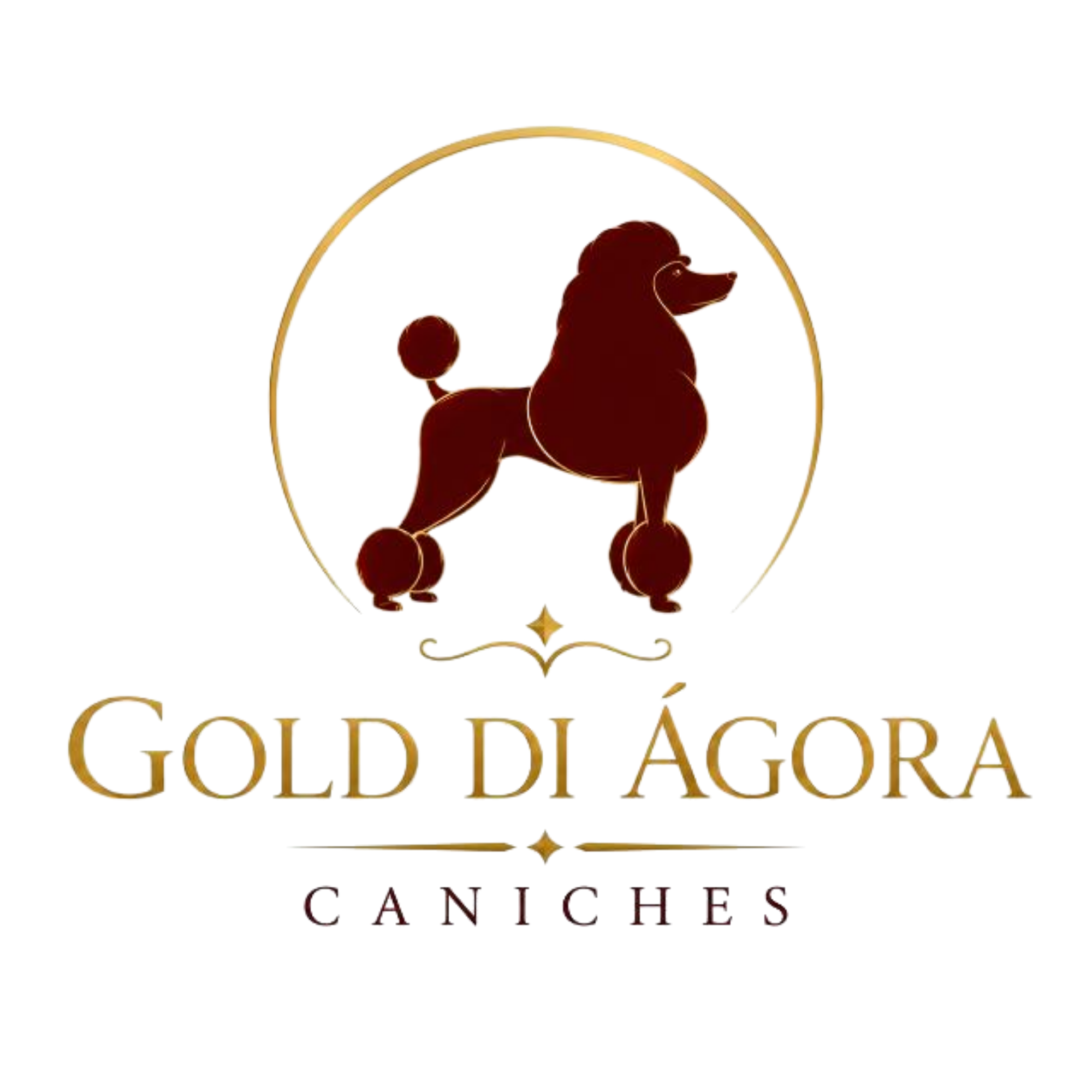 Gold di Agora